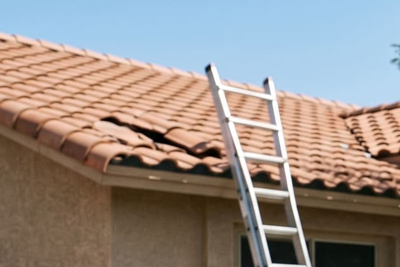 A generated image: a tile roof with broken and lifted tiles, an aluminum ladder leaning against the house.